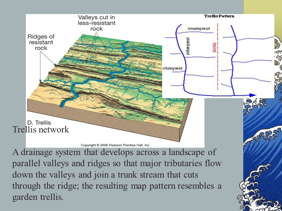 Trellis network A drainage system that develops across a landscape of parallel valleys and ridges so that major tributaries flow down the valleys and join a trunk stream that cuts through the ridge; the resulting map pattern resembles a garden trellis.