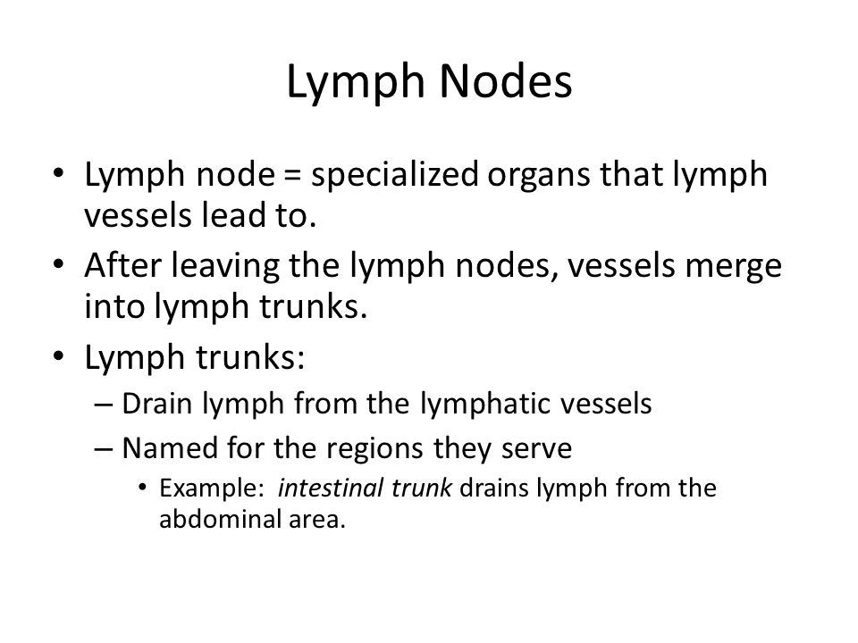 Lymph Nodes Lymph node = specialized organs that lymph vessels lead to. After leaving the lymph nodes, vessels merge into lymph trunks.