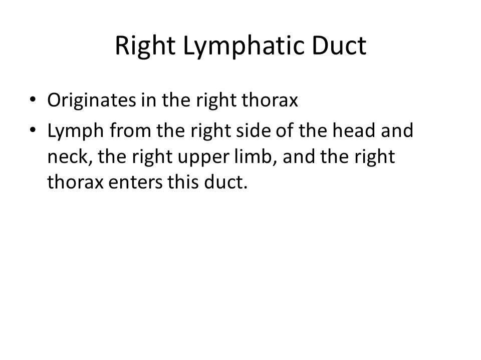 Right Lymphatic Duct Originates in the right thorax