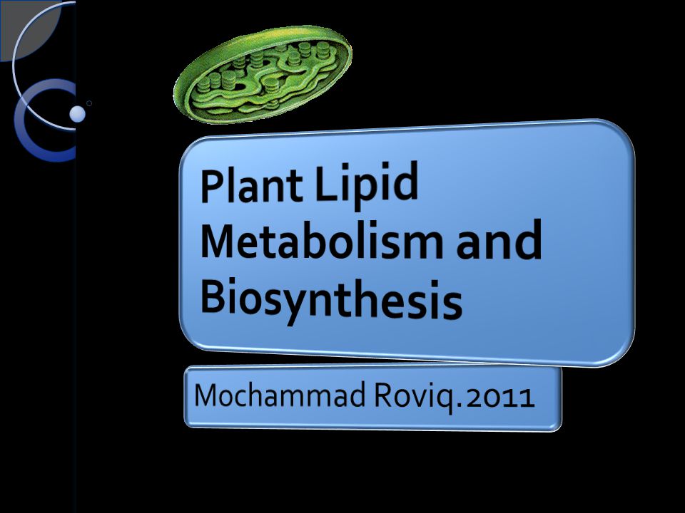 Plant Lipid Metabolism and Biosynthesis