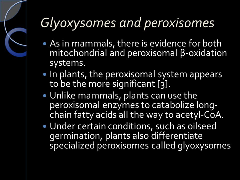 Glyoxysomes and peroxisomes