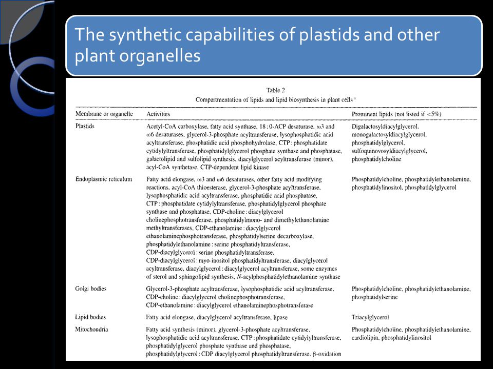 The synthetic capabilities of plastids and other plant organelles