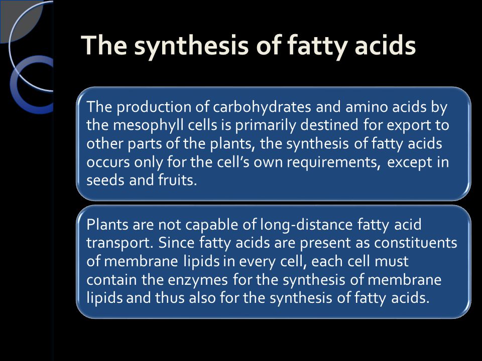 The synthesis of fatty acids