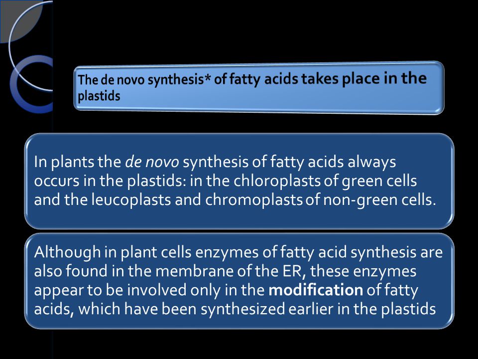 The de novo synthesis* of fatty acids takes place in the plastids