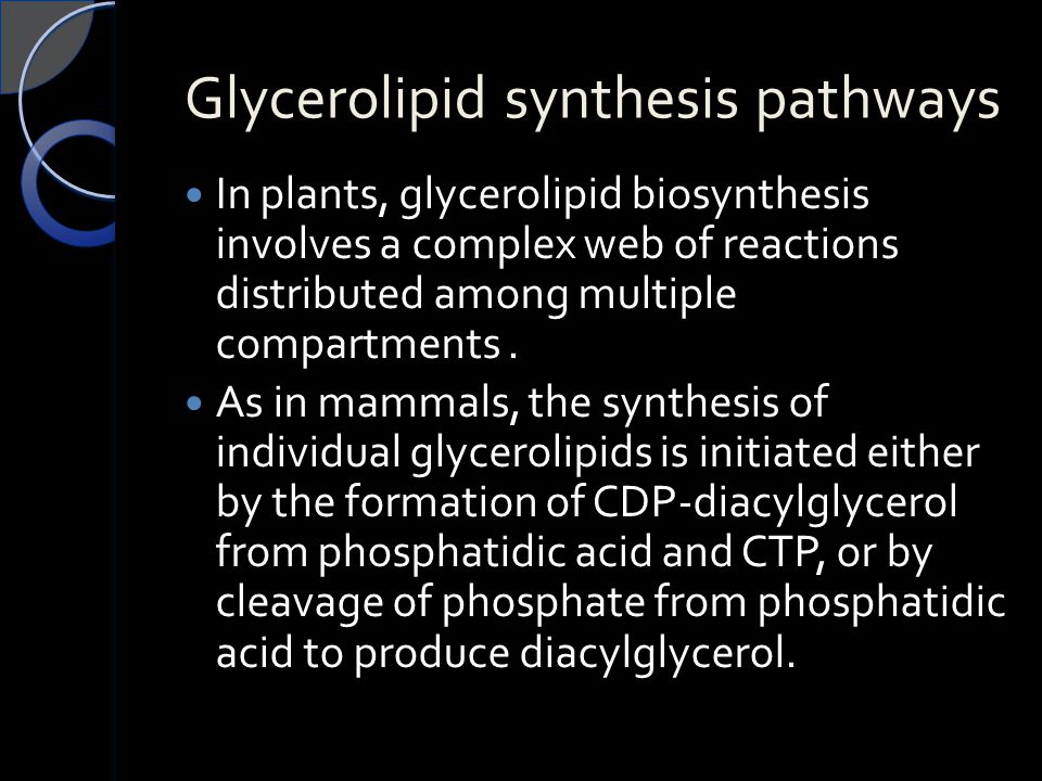 Glycerolipid synthesis pathways