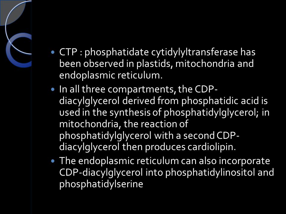 CTP : phosphatidate cytidylyltransferase has been observed in plastids, mitochondria and endoplasmic reticulum.