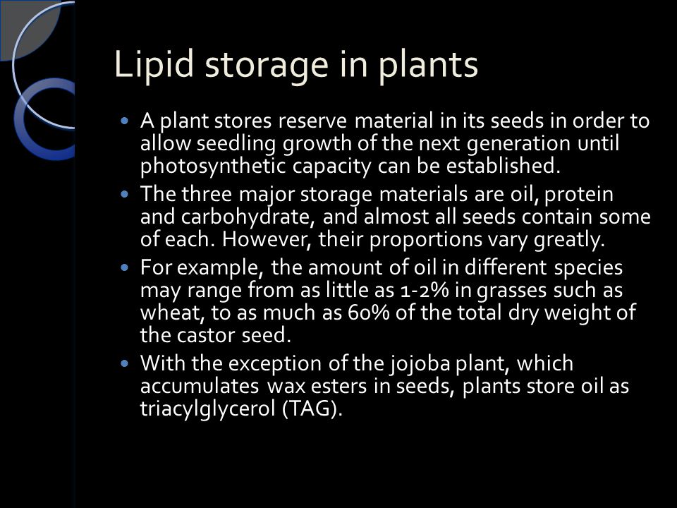 Lipid storage in plants