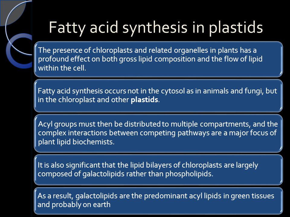 Fatty acid synthesis in plastids