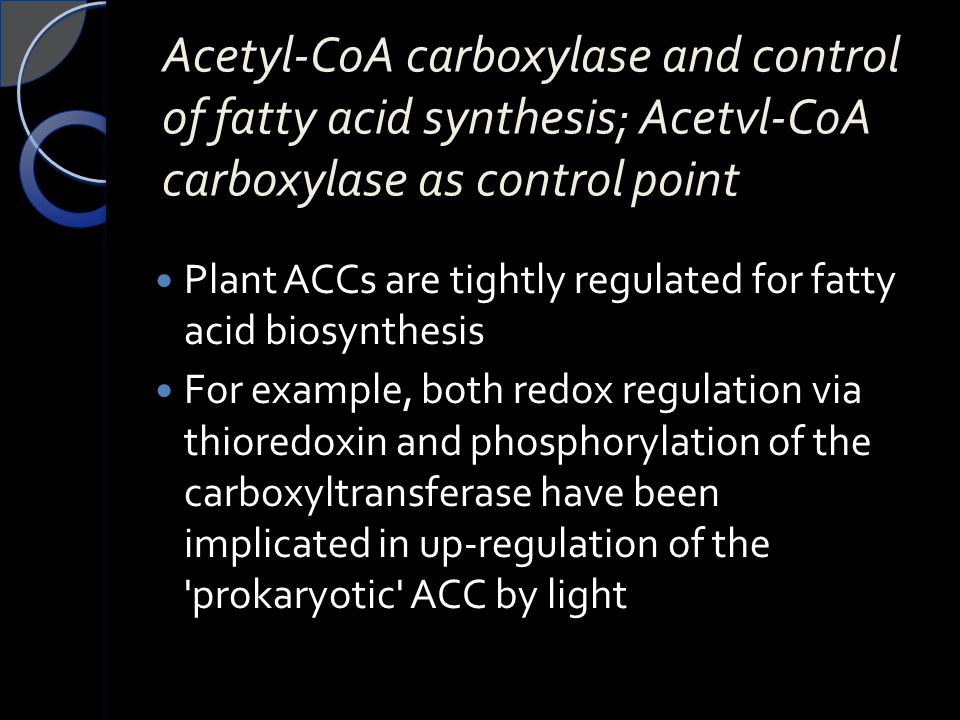 Acetyl-CoA carboxylase and control of fatty acid synthesis; Acetvl-CoA carboxylase as control point