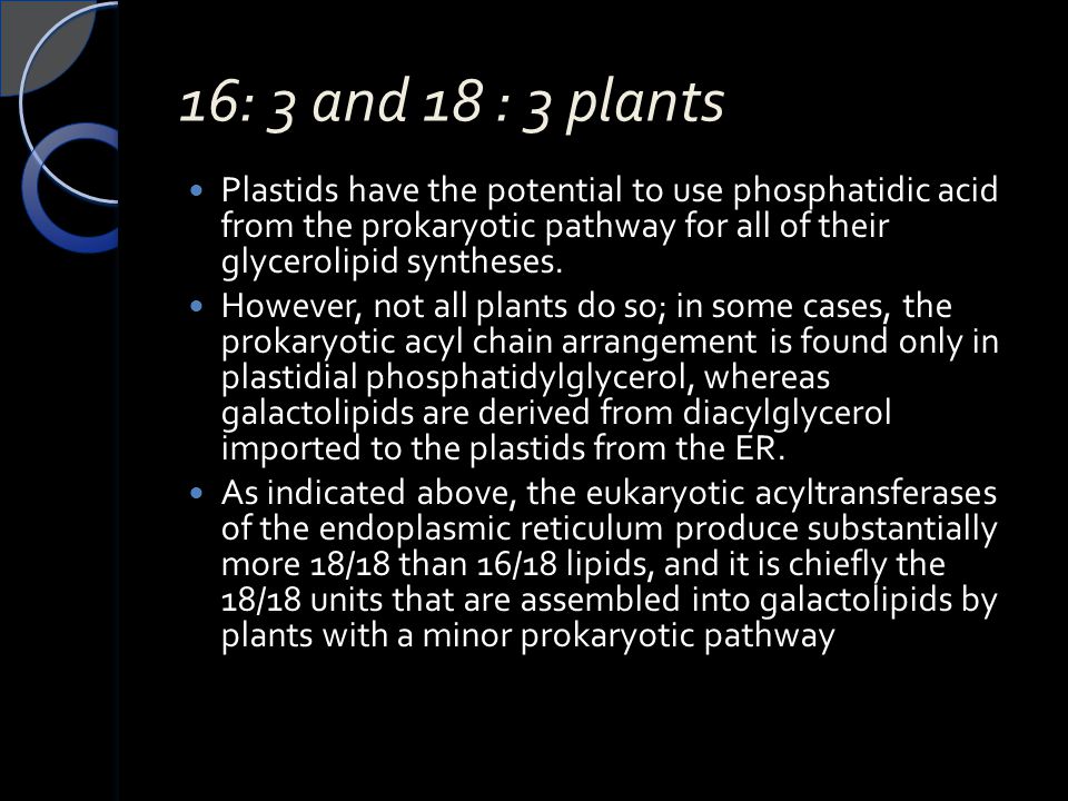 16: 3 and 18 : 3 plants Plastids have the potential to use phosphatidic acid from the prokaryotic pathway for all of their glycerolipid syntheses.