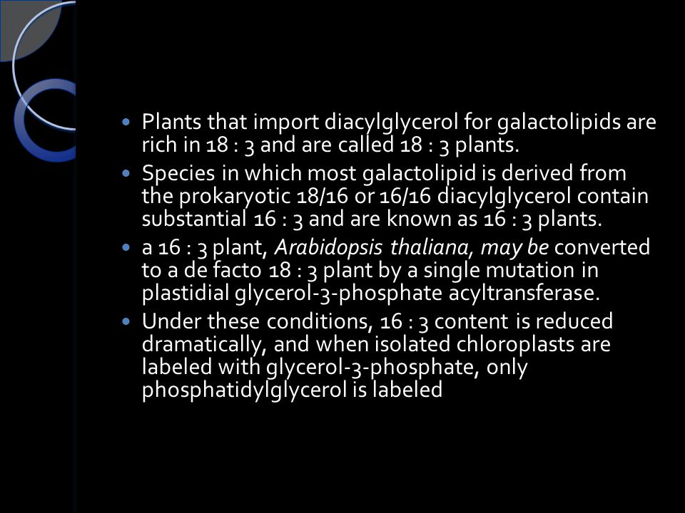 Plants that import diacylglycerol for galactolipids are rich in 18 : 3 and are called 18 : 3 plants.