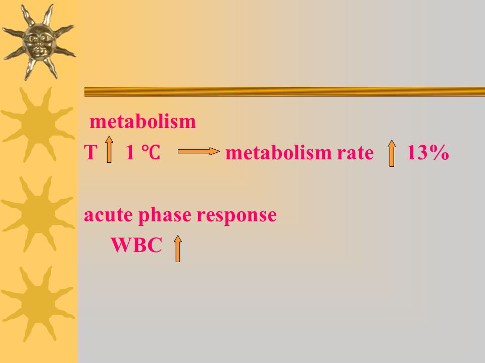 metabolism T 1 ℃ metabolism rate 13% acute phase response WBC