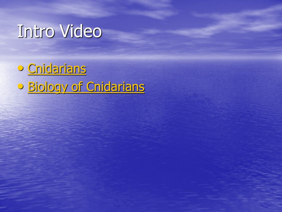 Intro Video Cnidarians Biology of Cnidarians
