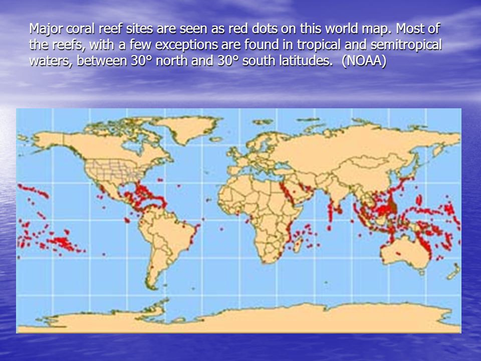 Major coral reef sites are seen as red dots on this world map