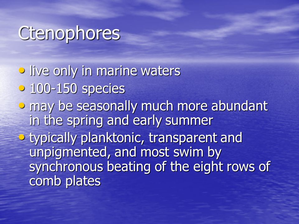 Ctenophores live only in marine waters species