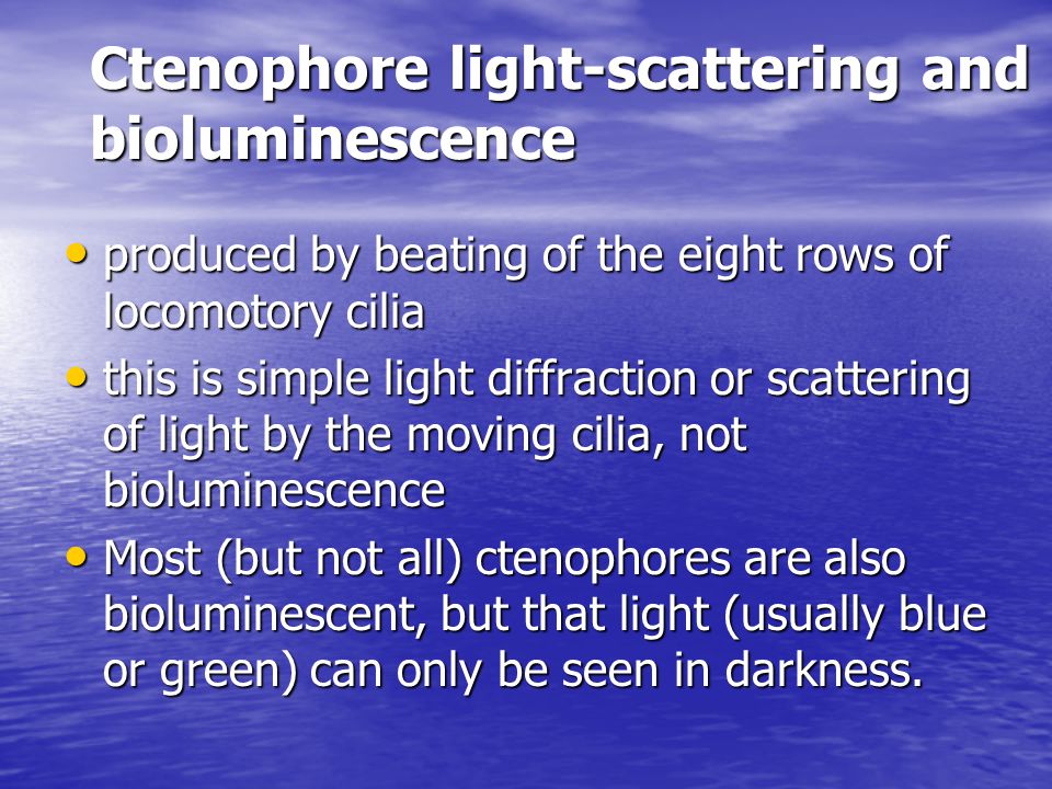 Ctenophore light-scattering and bioluminescence