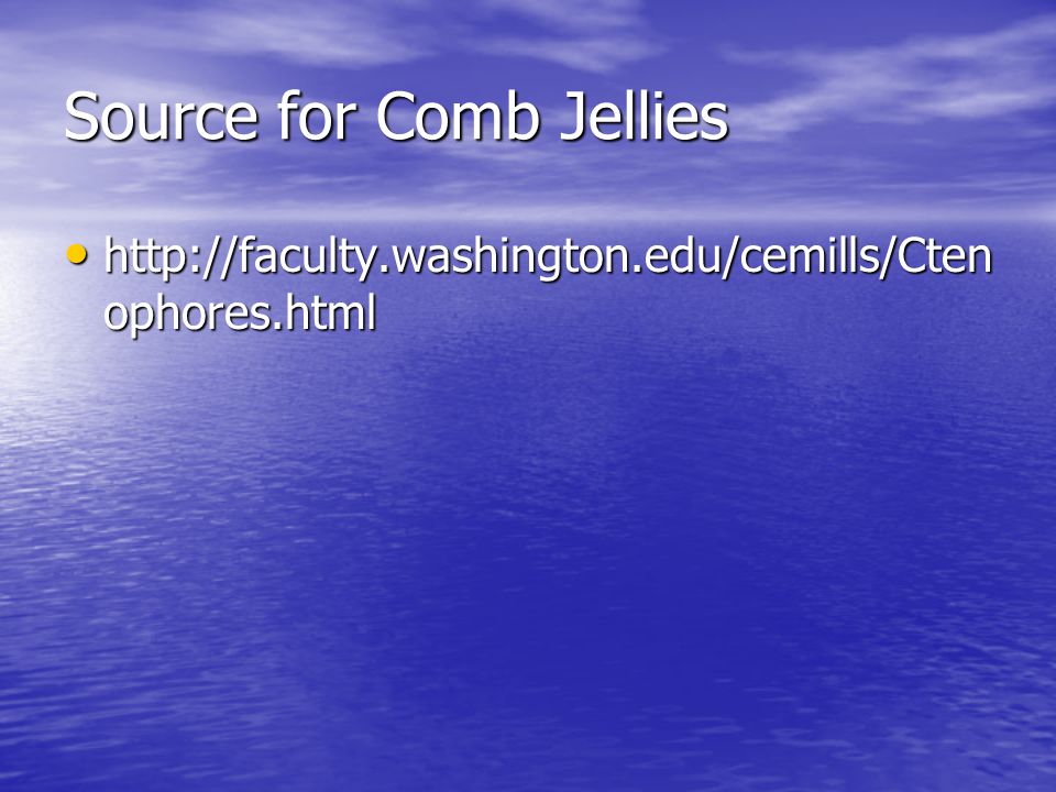 Source for Comb Jellies