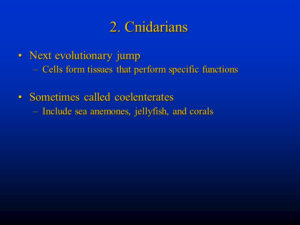 2. Cnidarians Next evolutionary jump Sometimes called coelenterates