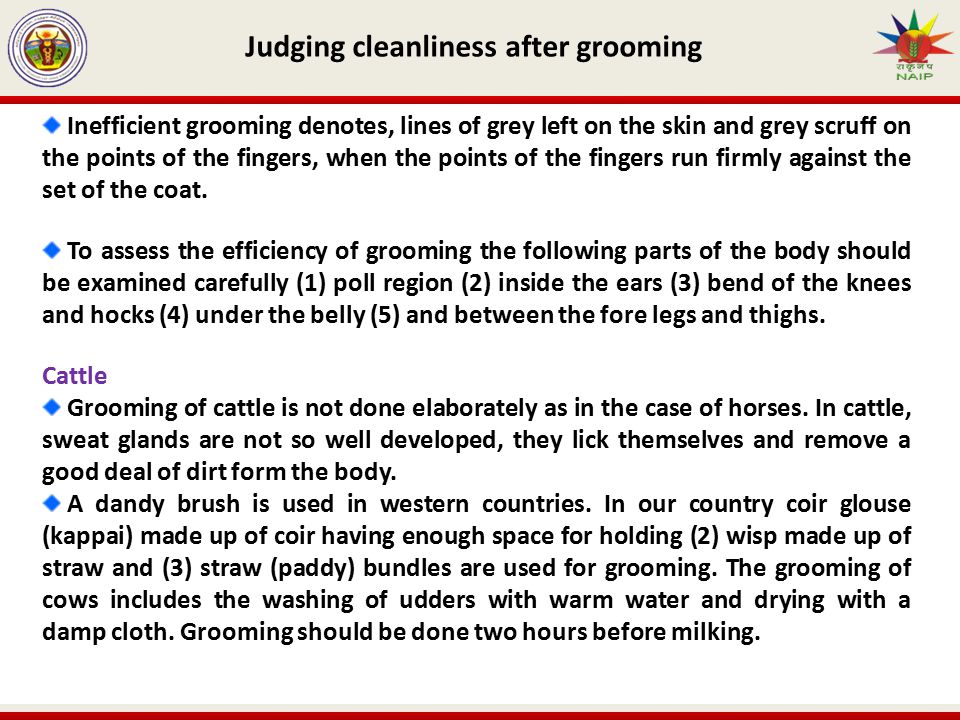 Judging cleanliness after grooming