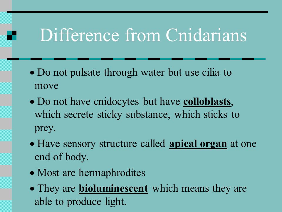 Difference from Cnidarians
