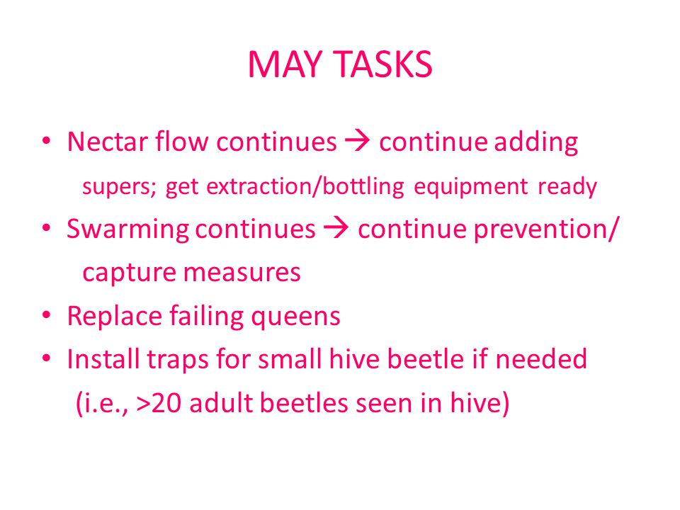 CALENDAR FOR BEEKEEPING IN CENTRAL NORTH CAROLINA ppt download