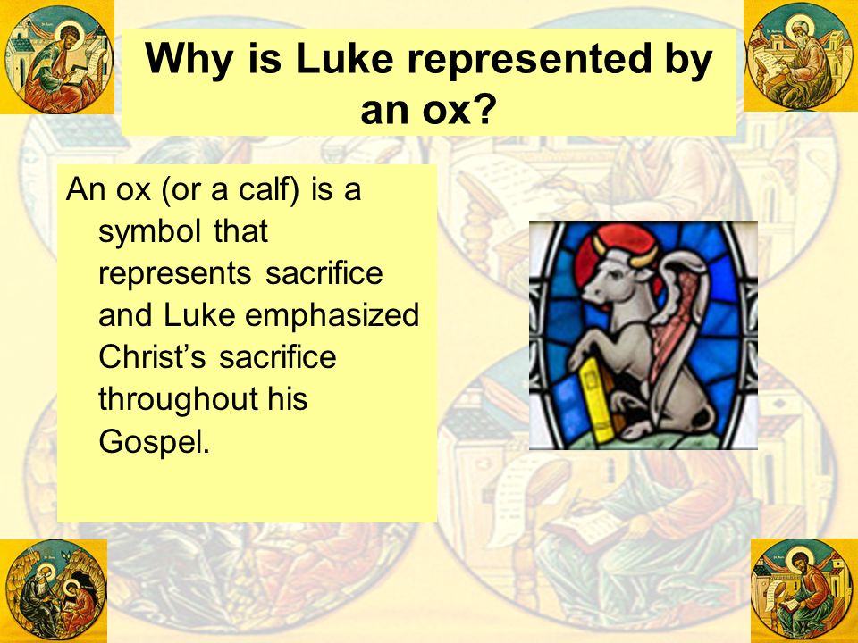 Why is Luke represented by an ox