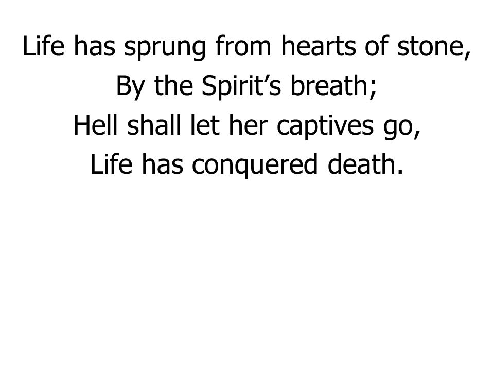 Life has sprung from hearts of stone, By the Spirit’s breath;