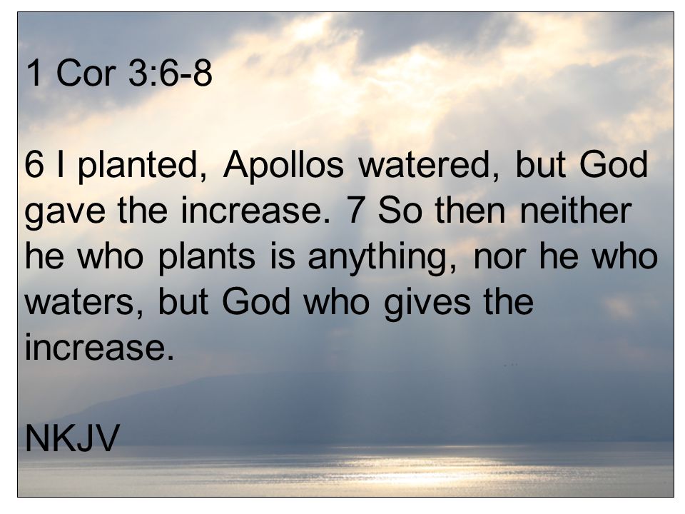 1 Cor 3:6-8 6 I planted, Apollos watered, but God gave the increase