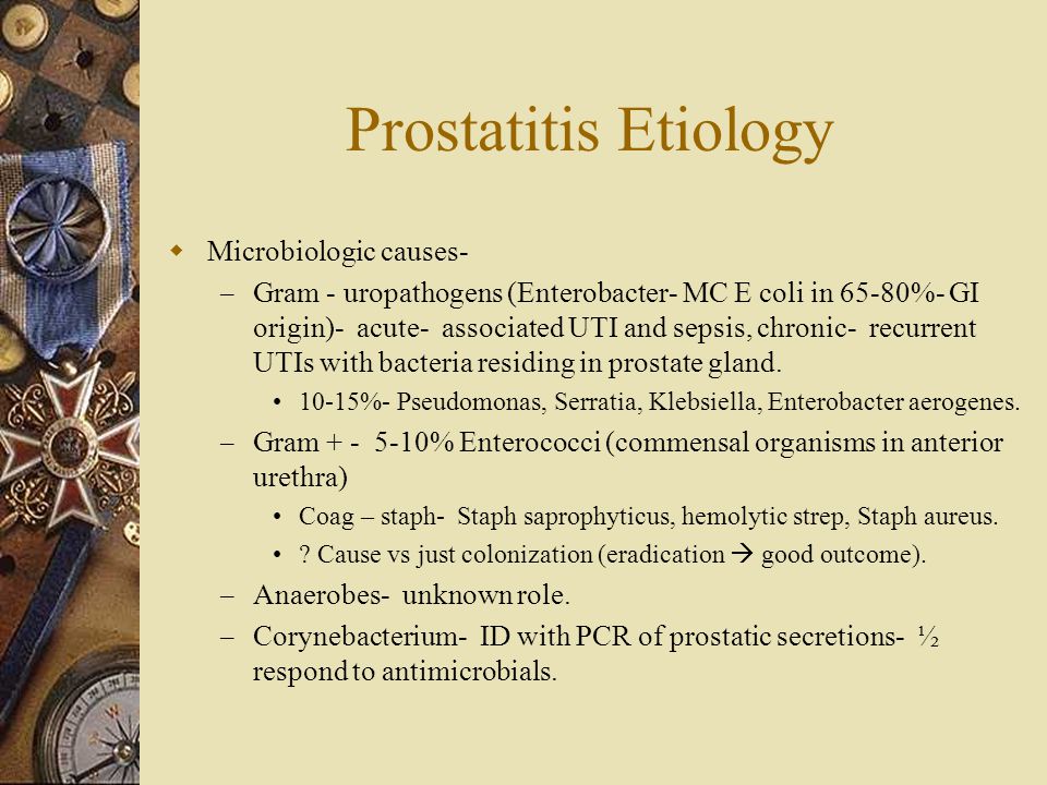 Prostatita enterococcus faecalis nr