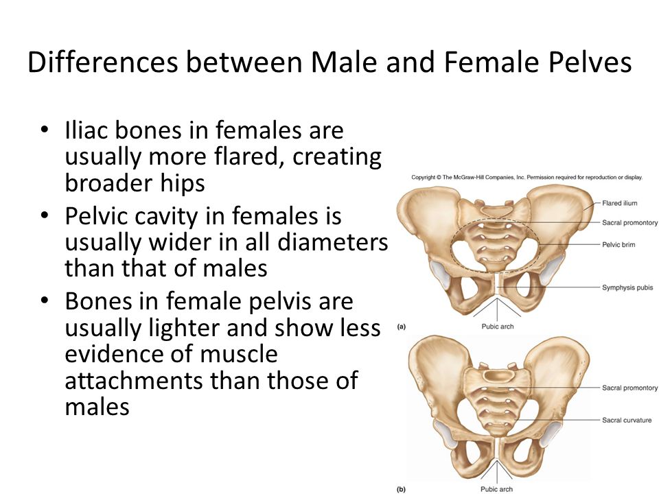 How The Gender Divide Reaches Into Our Nightmares