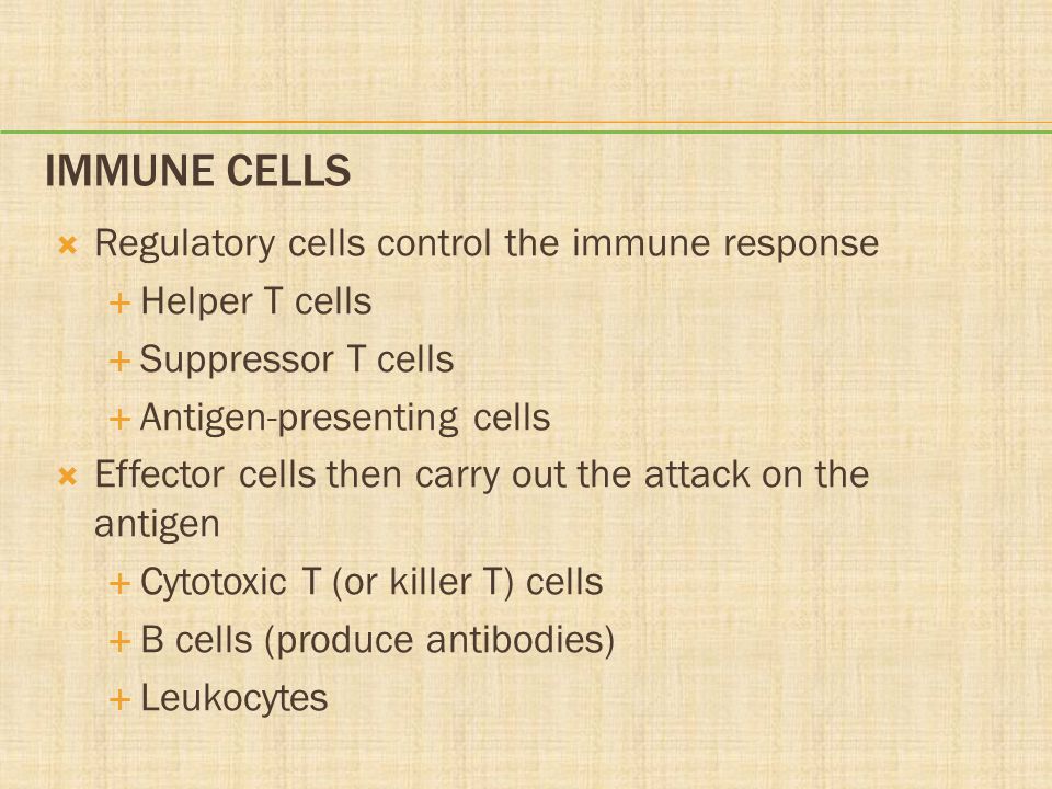 Immune Cells Regulatory cells control the immune response