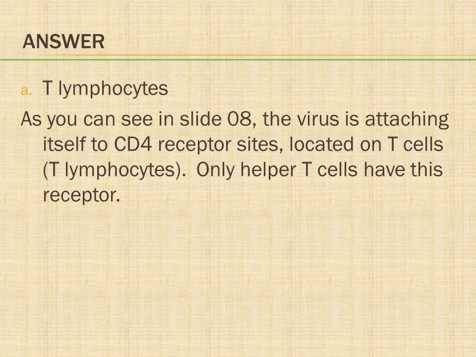Answer T lymphocytes.