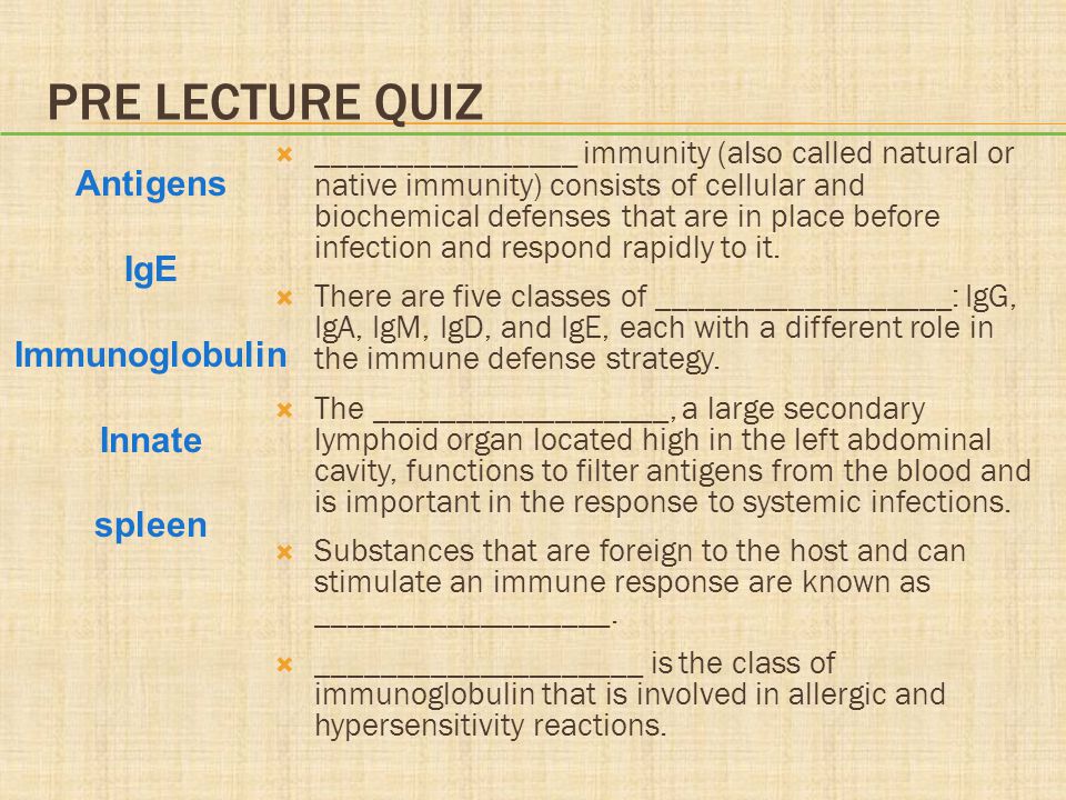 PRE LECTURE QUIZ Antigens IgE Immunoglobulin Innate spleen