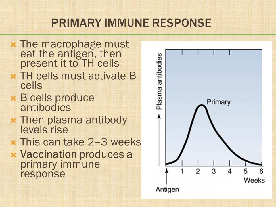 Primary Immune Response