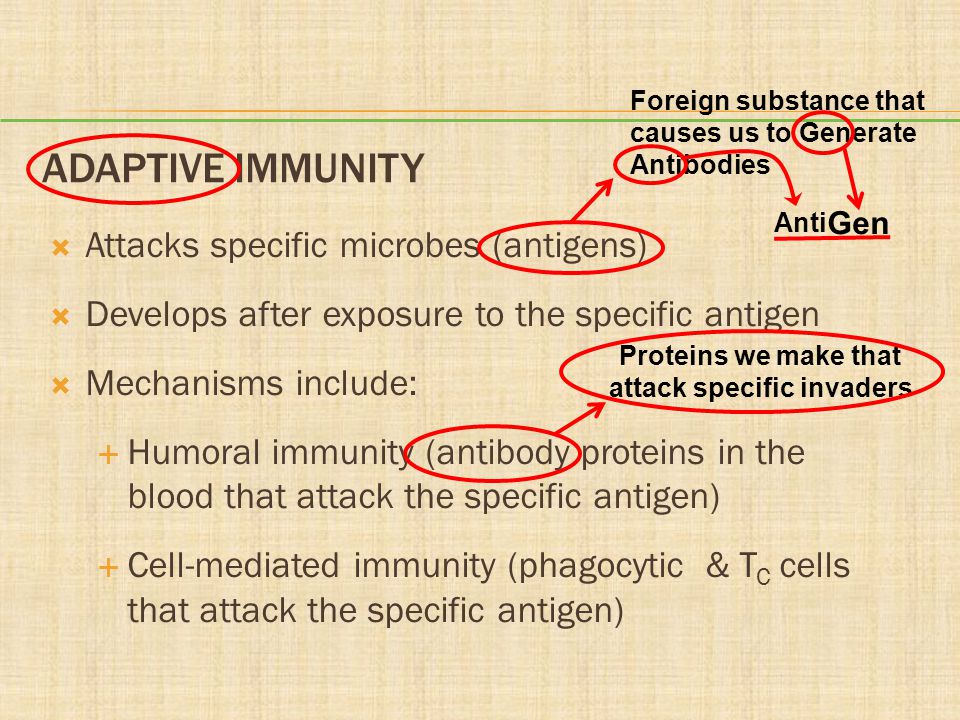 Proteins we make that attack specific invaders