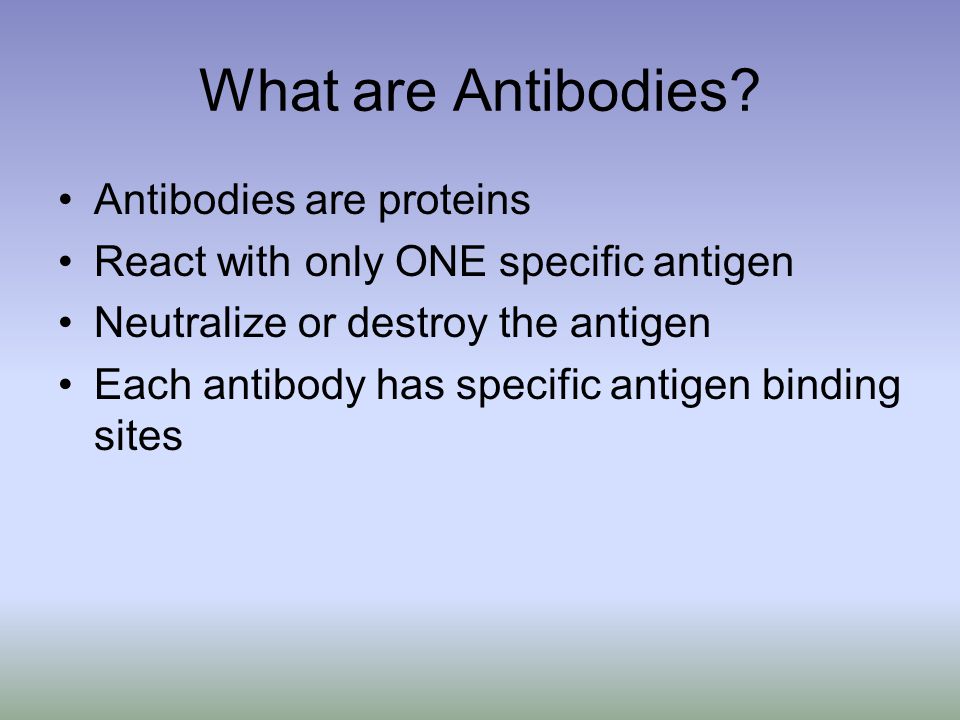 What are Antibodies Antibodies are proteins