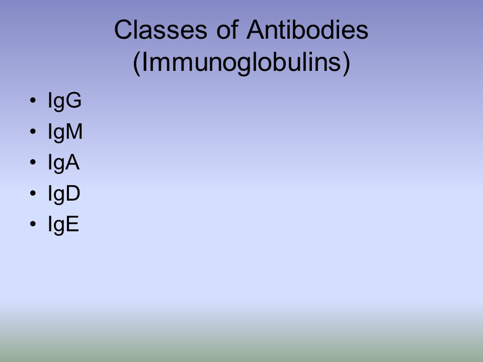 Classes of Antibodies (Immunoglobulins)