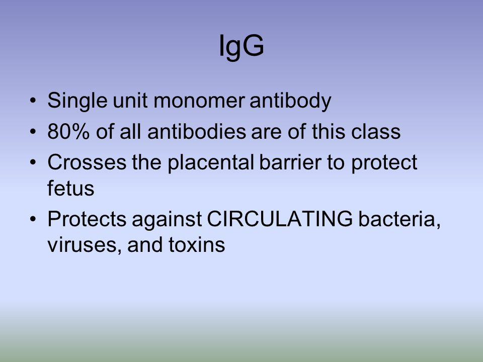 IgG Single unit monomer antibody