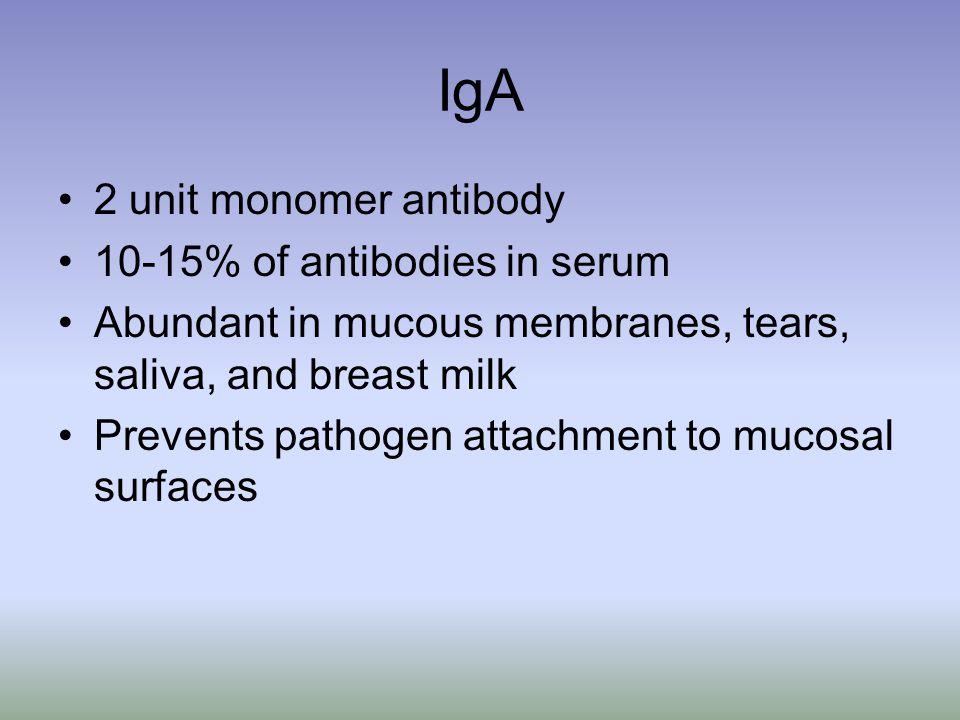 IgA 2 unit monomer antibody 10-15% of antibodies in serum