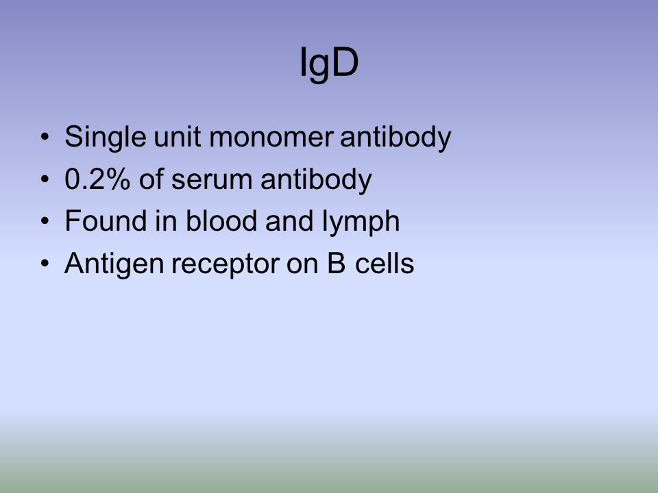 IgD Single unit monomer antibody 0.2% of serum antibody