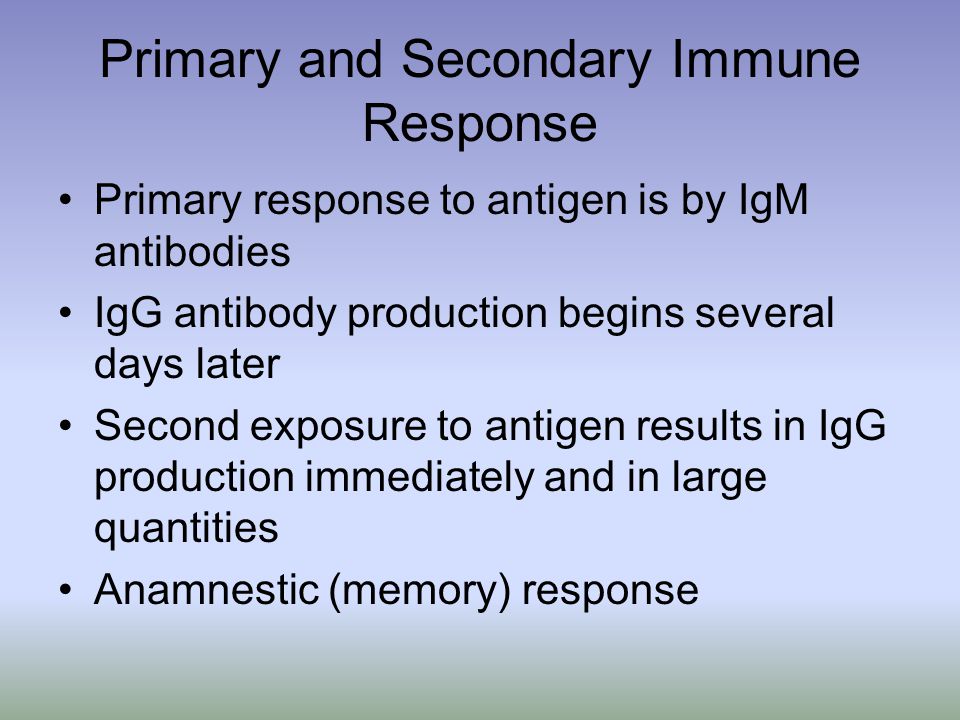 Primary and Secondary Immune Response