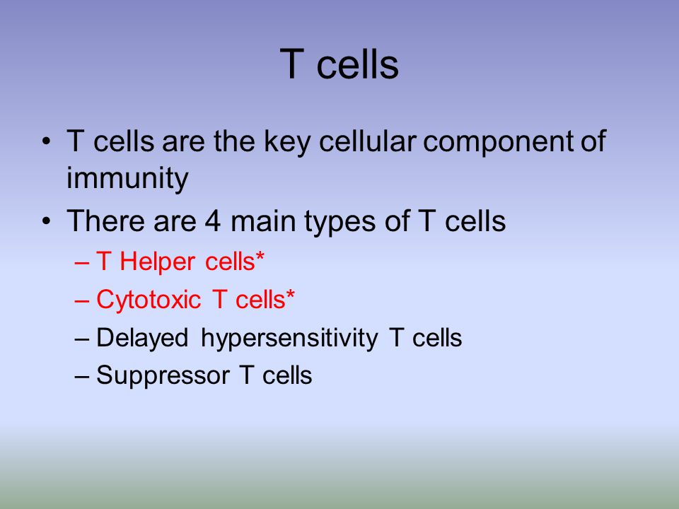 T cells T cells are the key cellular component of immunity