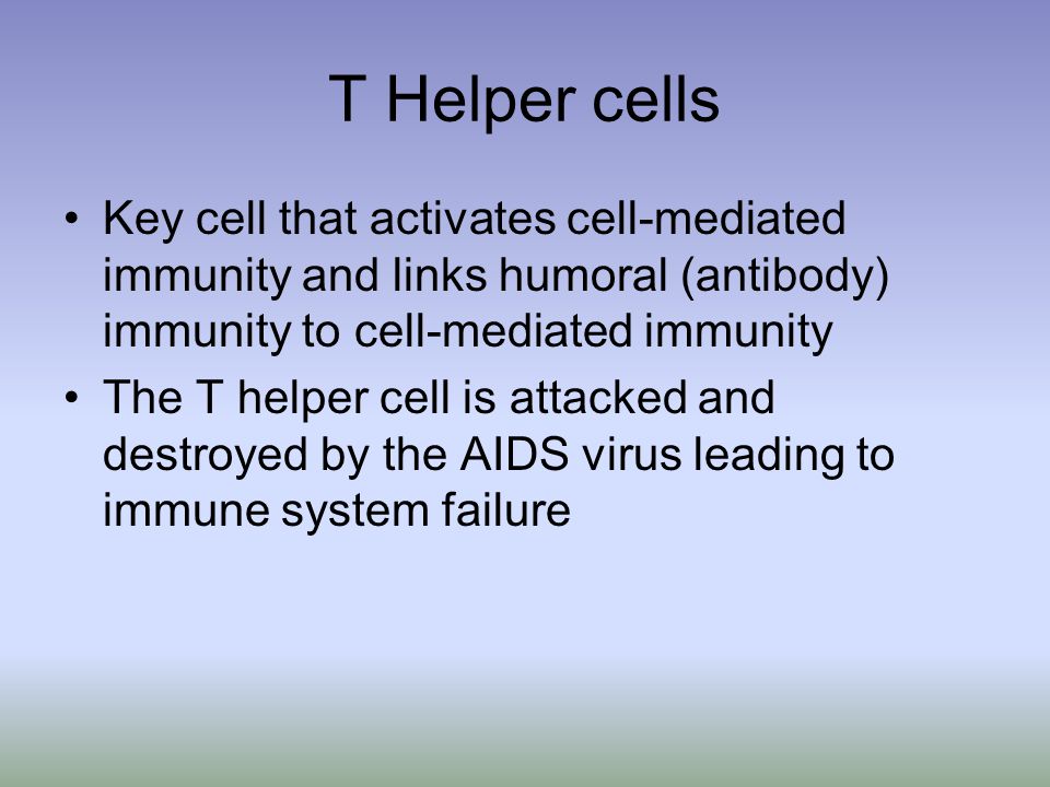 T Helper cells Key cell that activates cell-mediated immunity and links humoral (antibody) immunity to cell-mediated immunity.