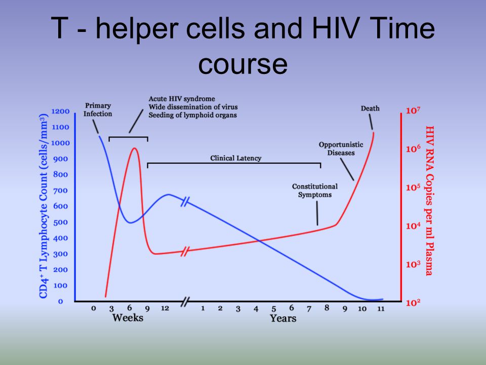 T - helper cells and HIV Time course