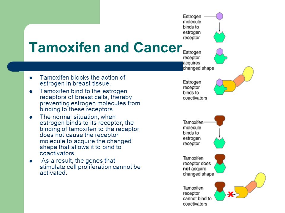 hydroxychloroquine to buy