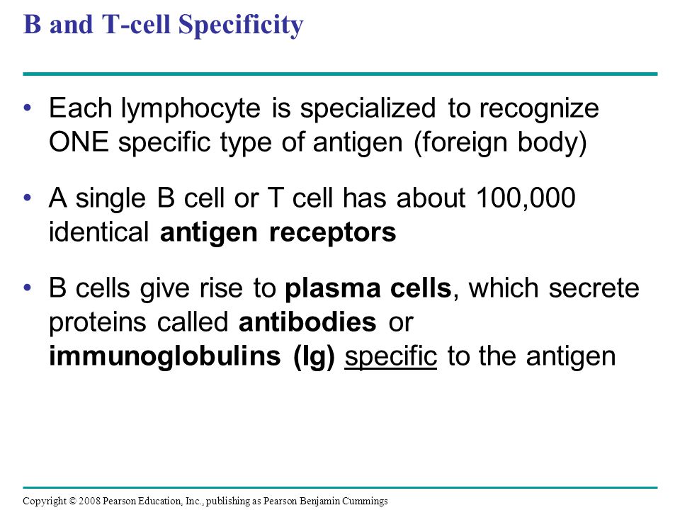 B and T-cell Specificity
