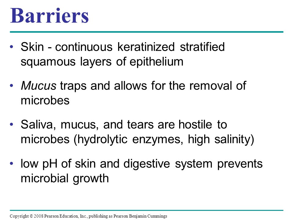 Barriers Skin - continuous keratinized stratified squamous layers of epithelium. Mucus traps and allows for the removal of microbes.