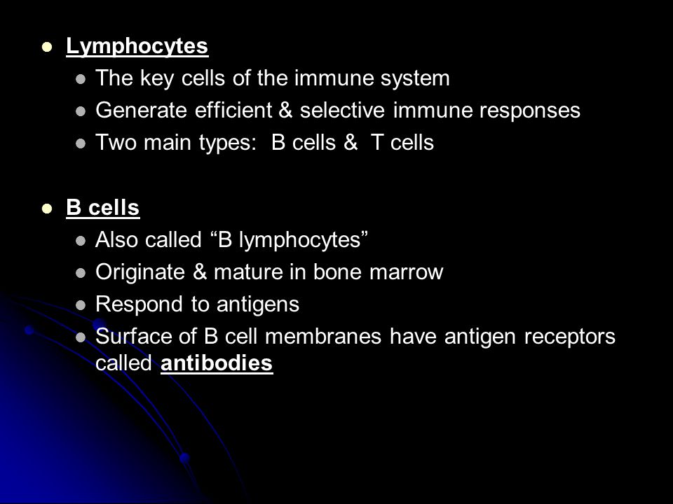 Lymphocytes The key cells of the immune system. Generate efficient & selective immune responses. Two main types: B cells & T cells.