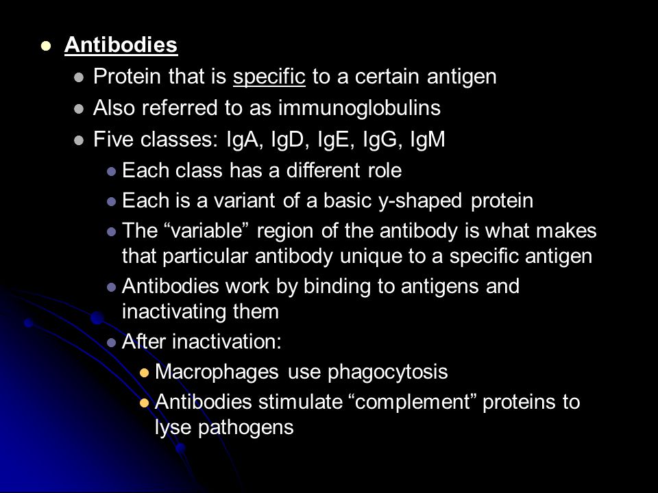 Protein that is specific to a certain antigen