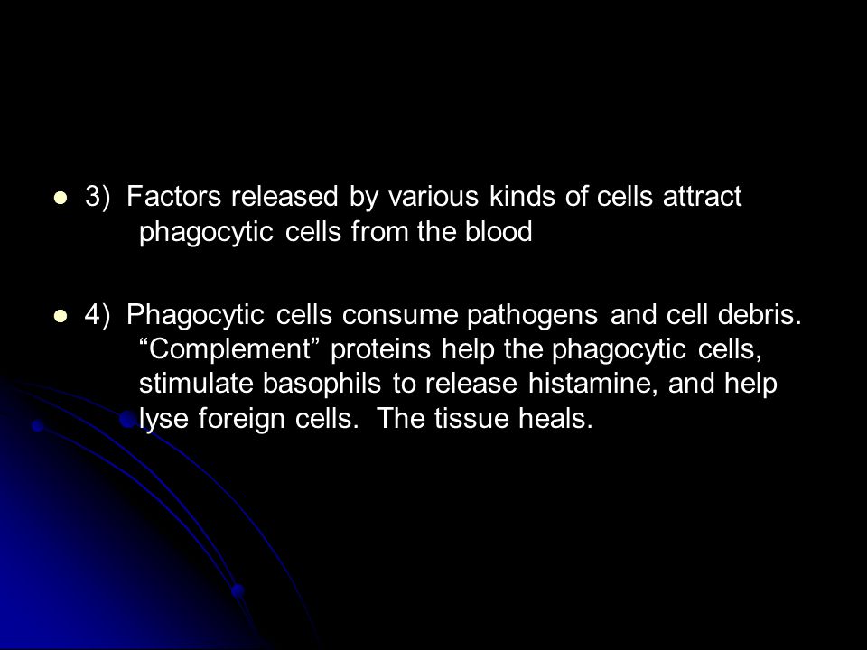 3) Factors released by various kinds of cells attract